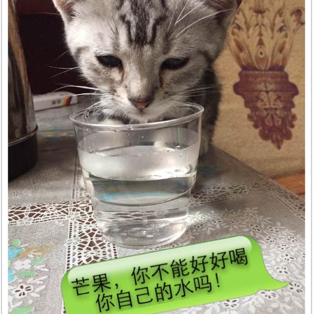 哪里能买到台湾国立高雄科技大学文凭毕业证